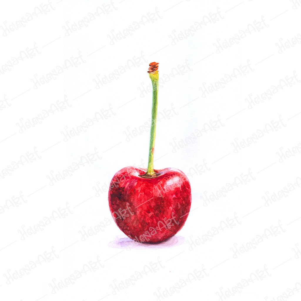 Cherry Watercolor Art Digital Download – Vibrant Wall Decor