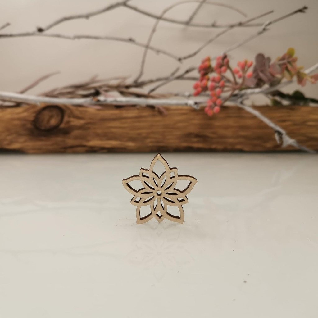 Laser Cut Celtic - 1 (SET 10): Precision Celtic Ornaments on Doshe.Store