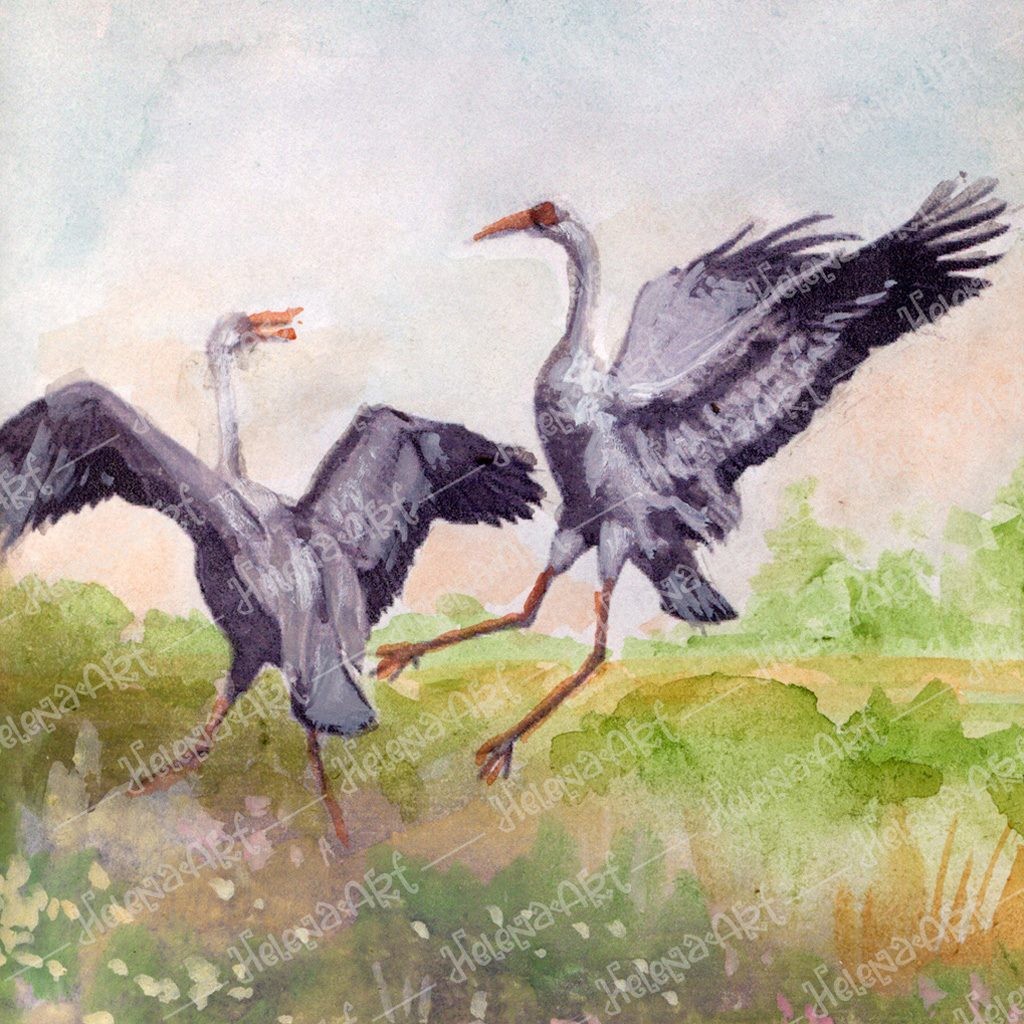 Vintage Watercolor (Dancing Cranes): Digital Download Art Print