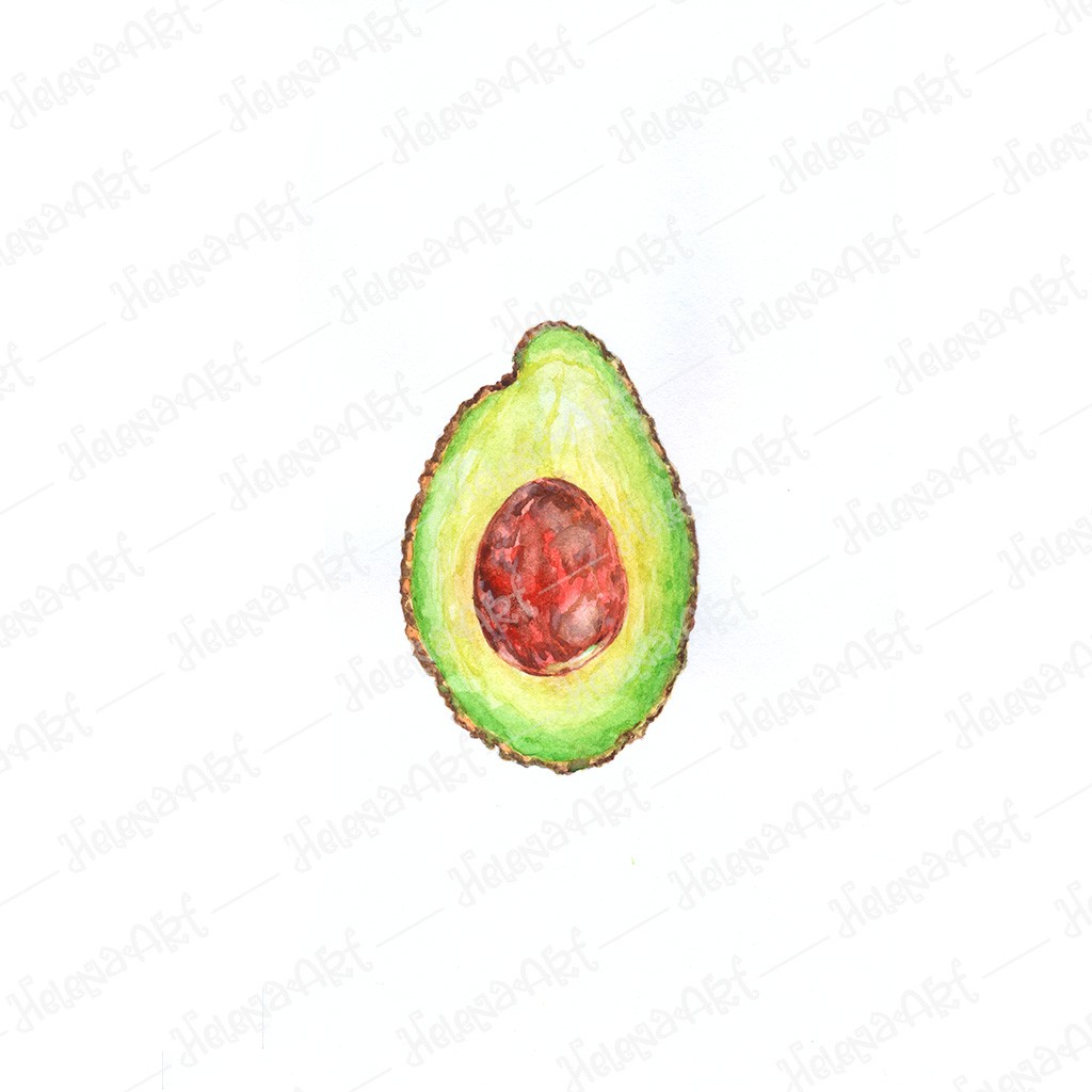 Avocado Watercolor Art – Digital Download for Fresh Wall Decor